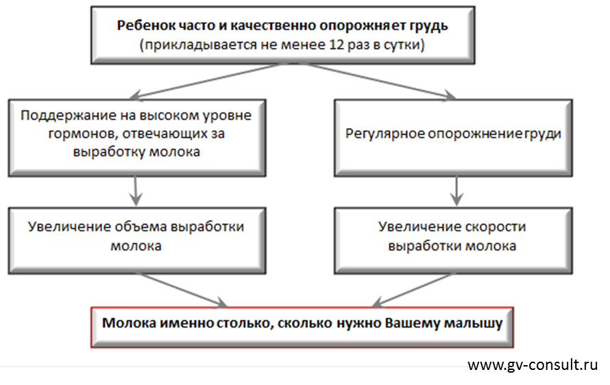 Выработки молока